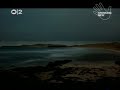 Guillemots - We\