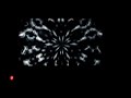 Tool LIVE in concert #4 (May 24, 2007, Baton Rouge, La.)