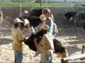 videos de South Africa