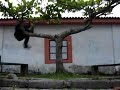 Le Parkour Antonina - PR
