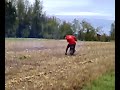 cazzate nel campo-spineda