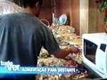 Alimenta��o da Mam�e