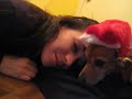 The Christmas Donner