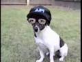 comedy6 afv comedy comedy6 afv comedy