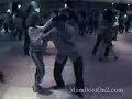 GoGo Earl in at New York Salsa Congress