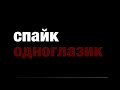 Собаки в добрые руки - Спайк - 0