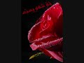 DyaRi QeReDaXi - AfAt DyaRi QeReDaXi - AfAt