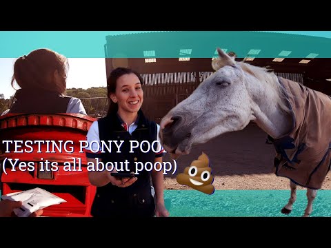 Poop Girl Tube Poop Girl Tube