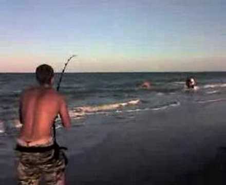 Hammerhead Shark