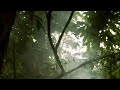 Bee-keeping Conservation in the Forest around Kenema