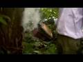 Bee-keeping Conservation in the Forest around Kenema