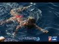 Ujena Bikini Jam Hot Chicks Fishing