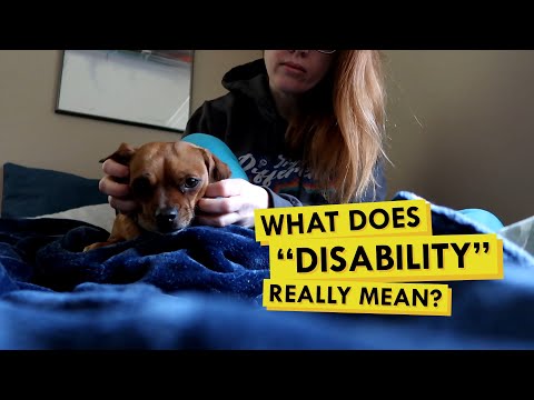 video-linktoworks-Exploring how my psychiatric service dog can help with...