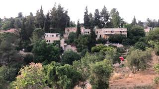 عين كارم / القدس عين كارم / القدس