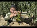 Imagine, song by john Lenon about Palestine and Israel Imagine, song by john Lenon about Palestine and Israel