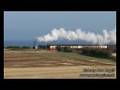 North Norfok Railway 2008 Gala (4) J15 65462