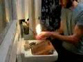 Re: How to Make Fire Balls! Really Cool!