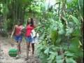 videos de Grade 364 part 1