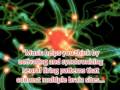 Music Advocacy Presentation