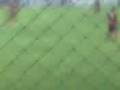 videos de Gol de la trinka