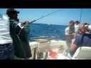 videos de Fishing in the Bay of Plenty