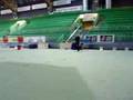 Jenna shows her self on the international dogshow in Hamar 1