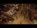 Trailer BBC\
