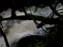 Cat Hole Resurgence