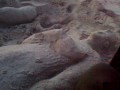 sand sculpture nader & ehab 2 نحت عالرمله اسكندرية نادر وإيهاب
