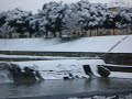 Neve a Firenze. 19 Dicembre 2009 Cascine Pescaia