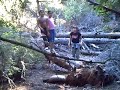 Adventures in the jungle