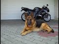 ZZR1400