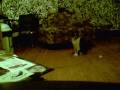 videos de 2008-12-18 00-47-00 986
