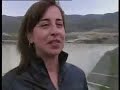 El pantano de la verg�enza