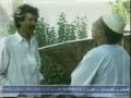 كبسور 8 9