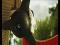 Husqvarna Brushcutters - All inclusive