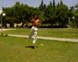 capoeira taza