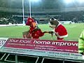 Mascot Mischief