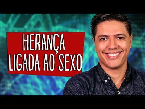 HERANÇA LIGADA AO SEXO Parte 01 - HERANÇA SEXUAL - Genética - Prof. Kennedy Ramos
