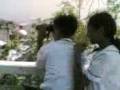 bhian and friends