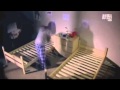 Animal Planet's Infested Bed Bugs