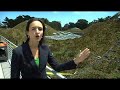 Wired Science: The Living Roof Wired Science: The Living Roof