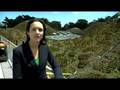 Wired Science: The Living Roof