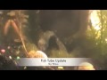 Fish Tube Update