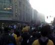 Socceroos-Fans-Celeb