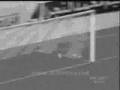 النمر الاتحادي ياكل التمساح الاهلاوي حمزة ادريس