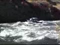 Jet Boat - Walking thru a rapid