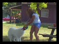 Me and my dog