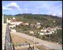 Festa De Oliveira