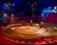 MAZEPPA Acrobatic Dance